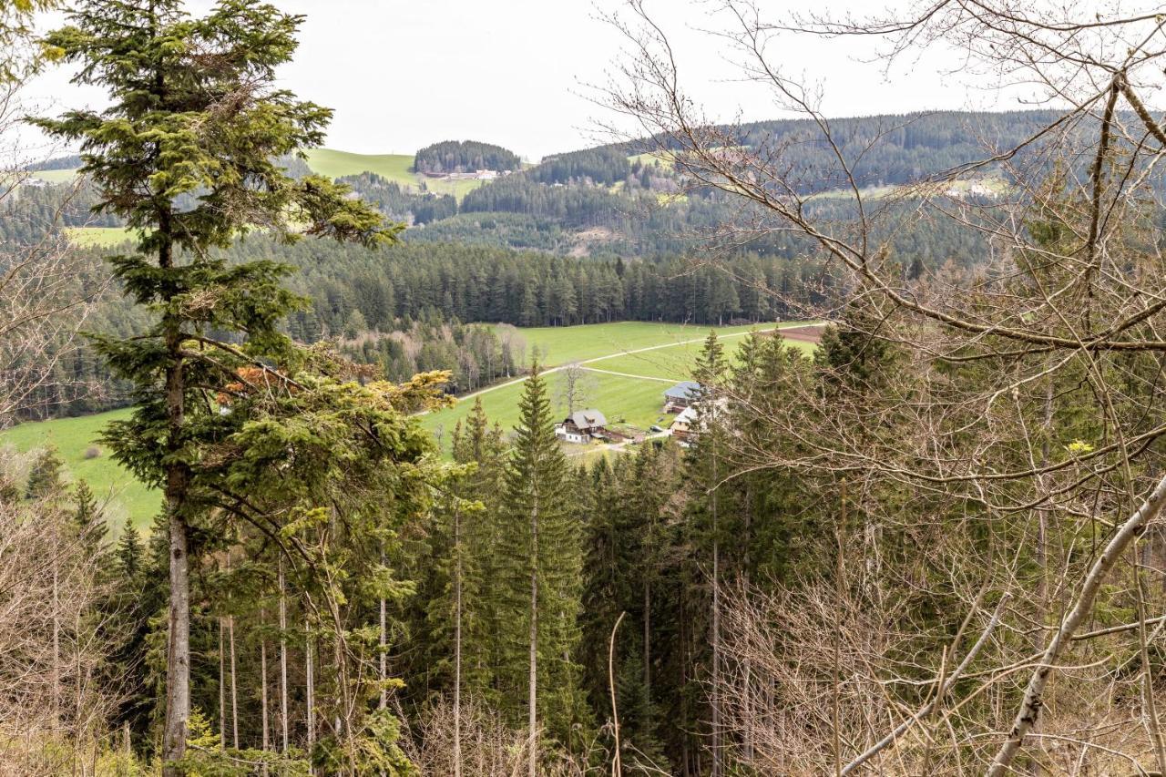 Ferienappartement Sonnenhof Triberg im Schwarzwald Exterior foto